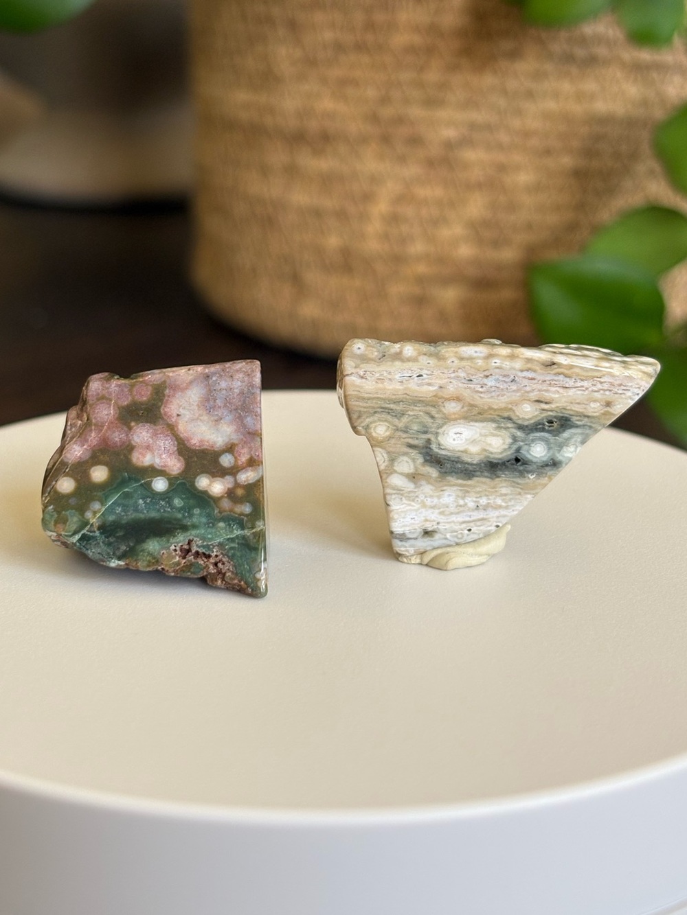 Druzy Ocean Jasper Crystal Set - Polished Sea Jasper Bundle - Picture 6 of 7